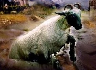 LoudCryoftheThirdAngel Second Beast